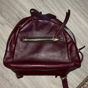 Fossil Backpack